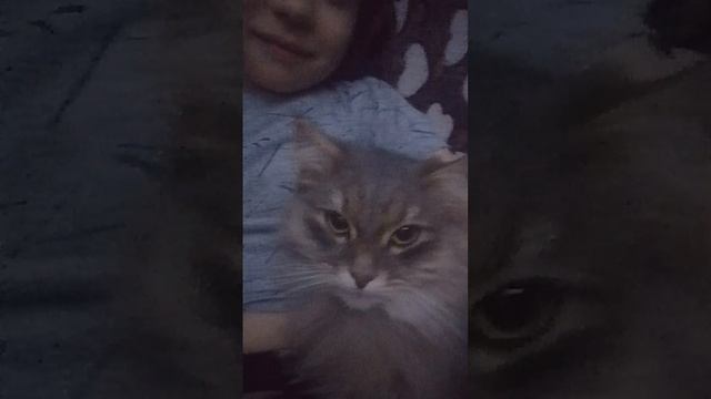 бакс и я