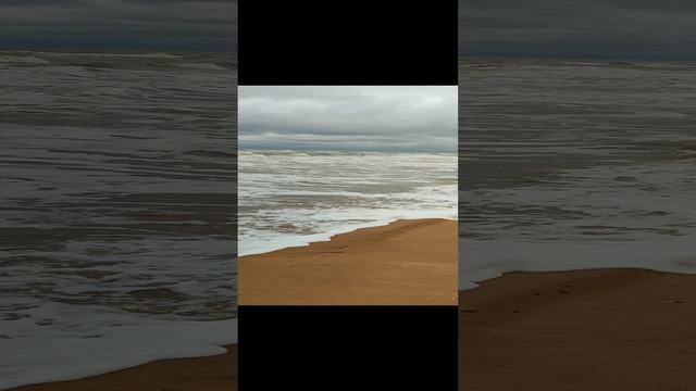 Кучугуры 13.01.25