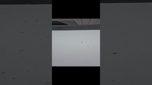 1000143448.mp4