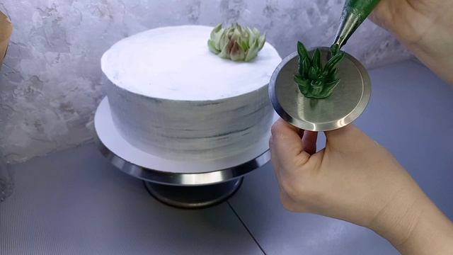 Суккуленты на торте/Торт с кактусами
