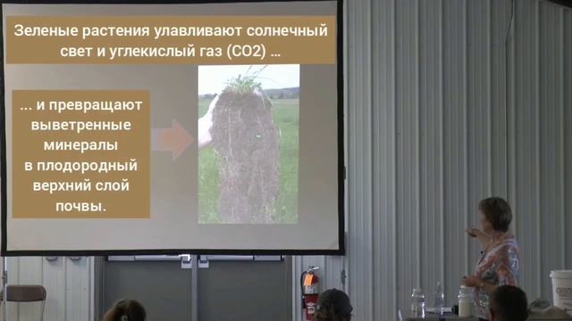 Как создать почву. Кристина Джонс