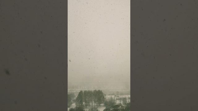 Наш дом