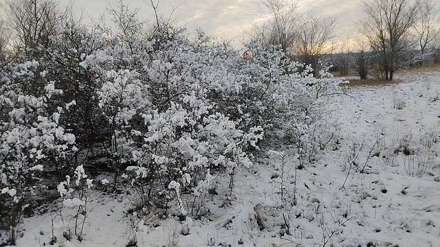 На закате