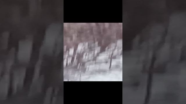 Эм