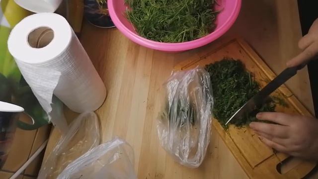 Заморозка укропа на зиму