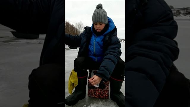 Капризная плотва, я так ее ловлю🙂 #fishing #рыбалка #зима #top #рыбак #мормышки #снасть