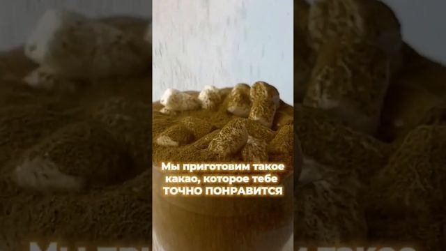 Приходи в Чао Какао рядом с Эрмитажем и наслаждайся спешелти какао! #какао #кофе #Питер #спб