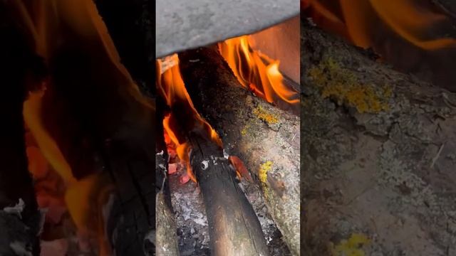 Кутабы с зеленью. #shorts #kutabi #вкусно