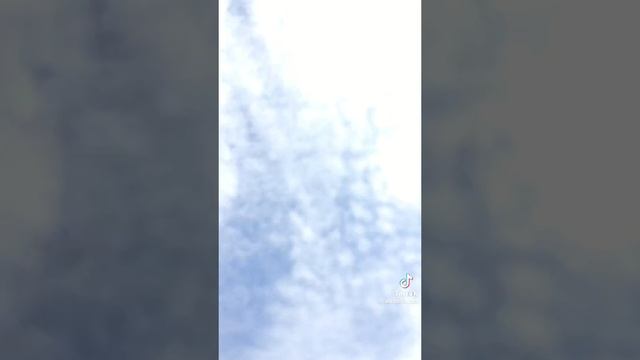 пхаааааахзхахахп интересно она жива?