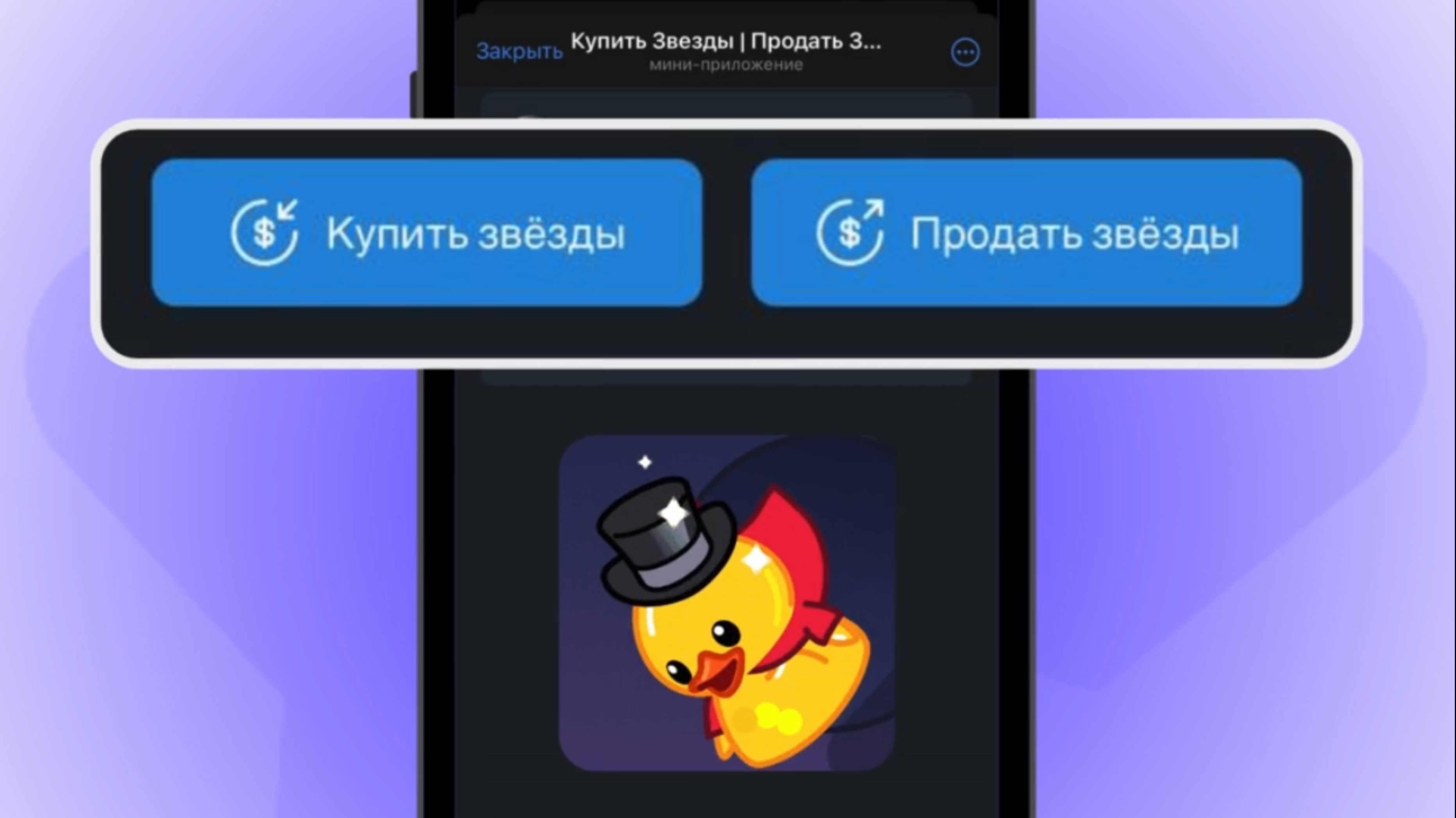 Новое приложение Starsgram: купить и продать звезды Телеграм легко и просто