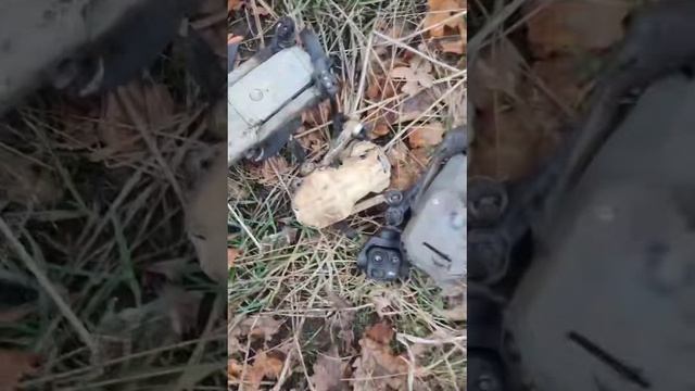 Охотники на охотников