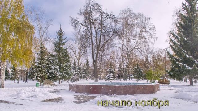 Димитровград-2016 Марков сад