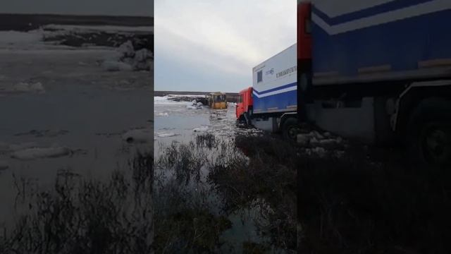 1000060231.mp4