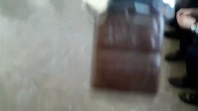 Пародия на ОБЖОР от САНИ!