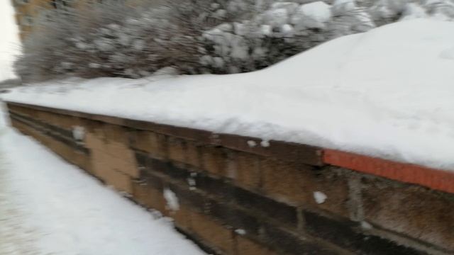 Снежный Санкт-Петербург! 🥶🌨️❄️