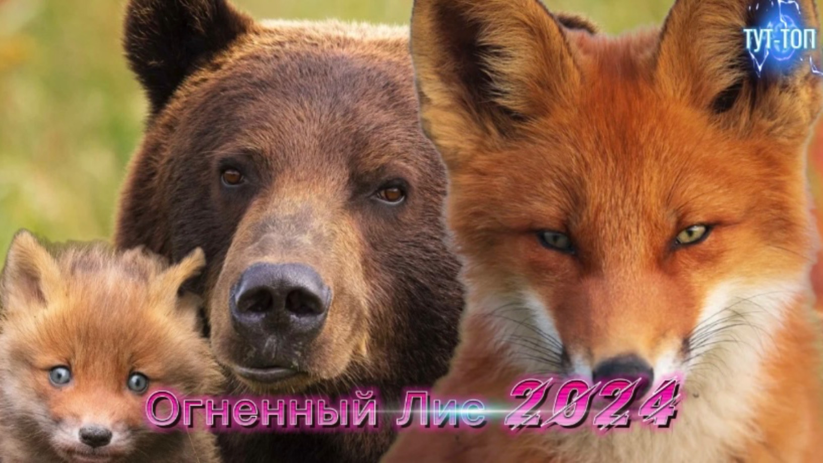 Огненный лис🍿Фильм🍿2024🍿