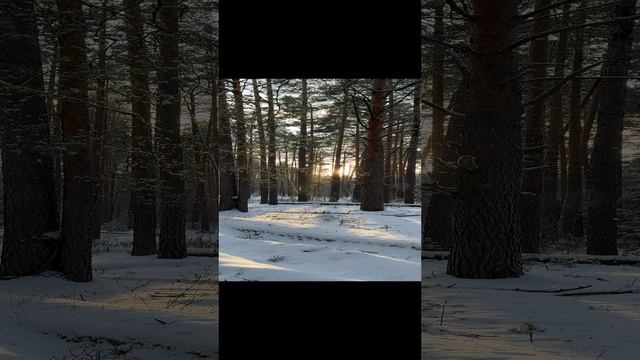 Самые крутые ВВ и СС кремы