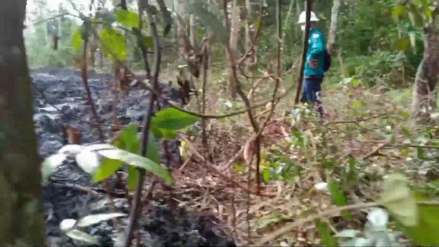 mau narek Pajero yg kepater malah di kejar tawon