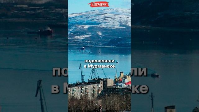 #ПетроВести