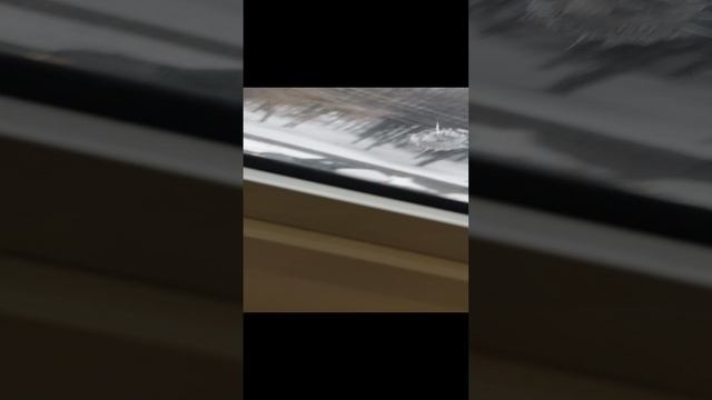 20250113_143243.mp4