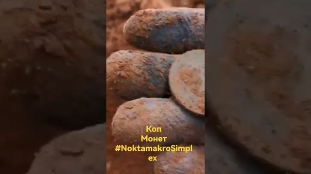 Коп монет. Нокта симплекс