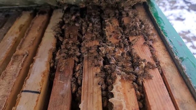 ф.36. как-то так унас происходит на 12.01.2025.г. Усмань 48.