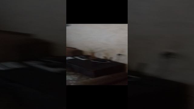 Недвижимость Донецк ДНР Аренда квартир долгосрочно