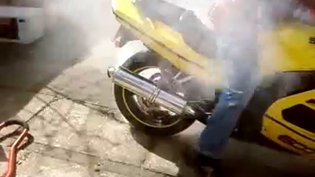 suzuki burnout (rf600)