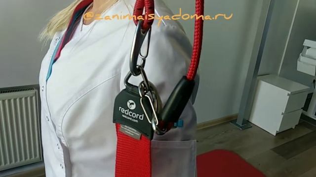 Тренировка вращательной манжеты при боли в плече