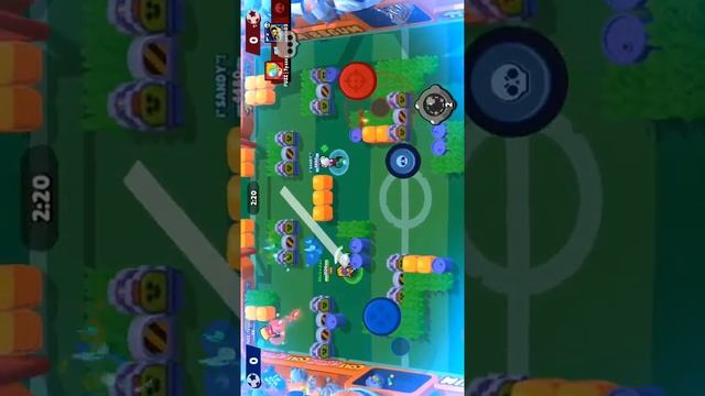 Jugando con beea y su gat yet nuevo