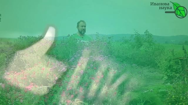 В КОМПОСТЕ ЗАВЕЛИСЬ БЕЛЫЕ ЛЯРВЫ. Вредители в компосте. Как очистить компост от личинок вредителей.