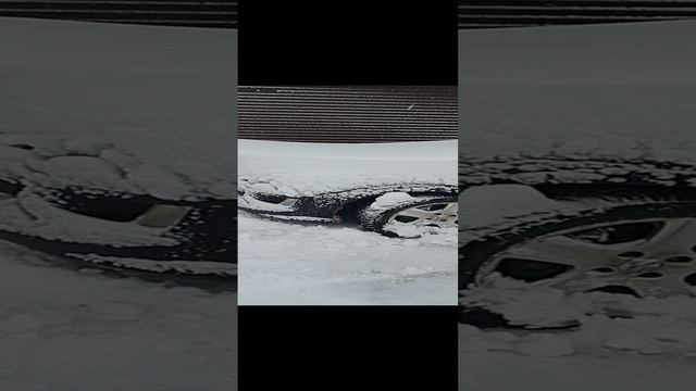 1000024588.mp4