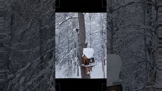 Воскресная прогулка 😉