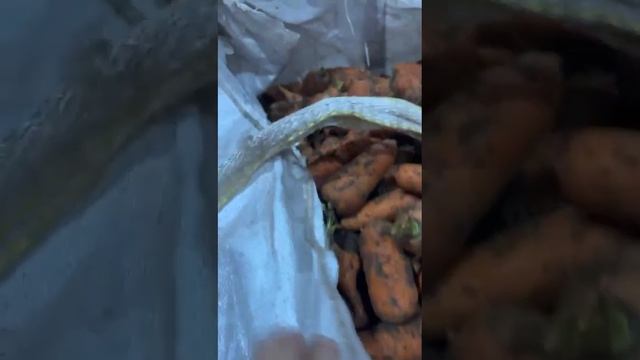 3a2f9a3e-d1b0-4e01-adb9-09a6ccf5a21e