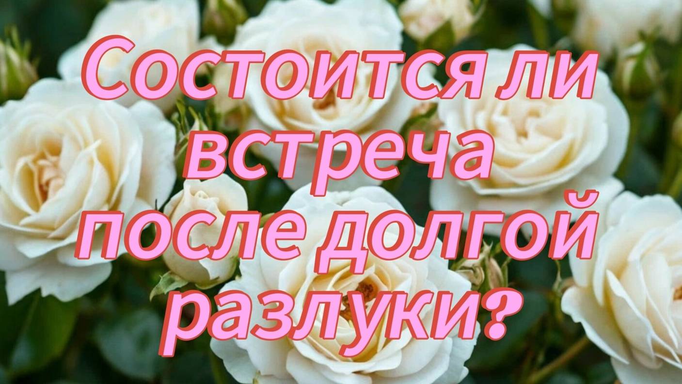 Состоится ли встреча после долгой разлуки?