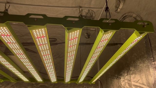 Kingbrite p55 1000w