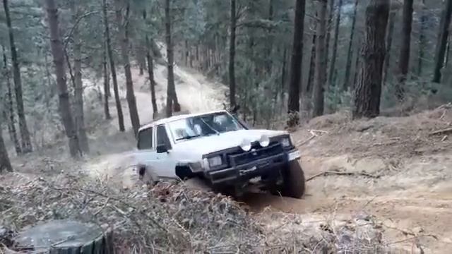Jalongsi patrol sd33 turbo