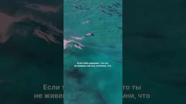 Это круто изменит твою жизнь, прочти 👇
Забери подарок в описании