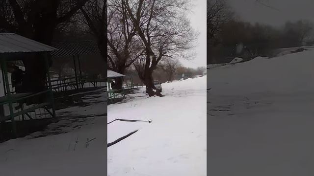 EDO VANADZOR DUTZ 25 12 2016