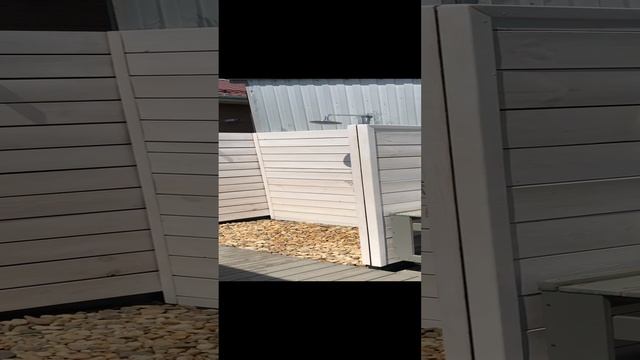 Парилка видео 12