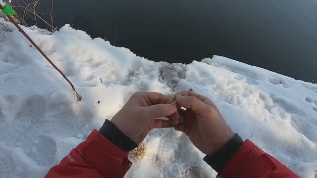 Пробую донку на реке зимой_Experiment Fishing in the winter.