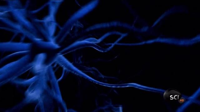 Сквозь пространство и время с Морганом Фрименом 2 сезон 1 серия