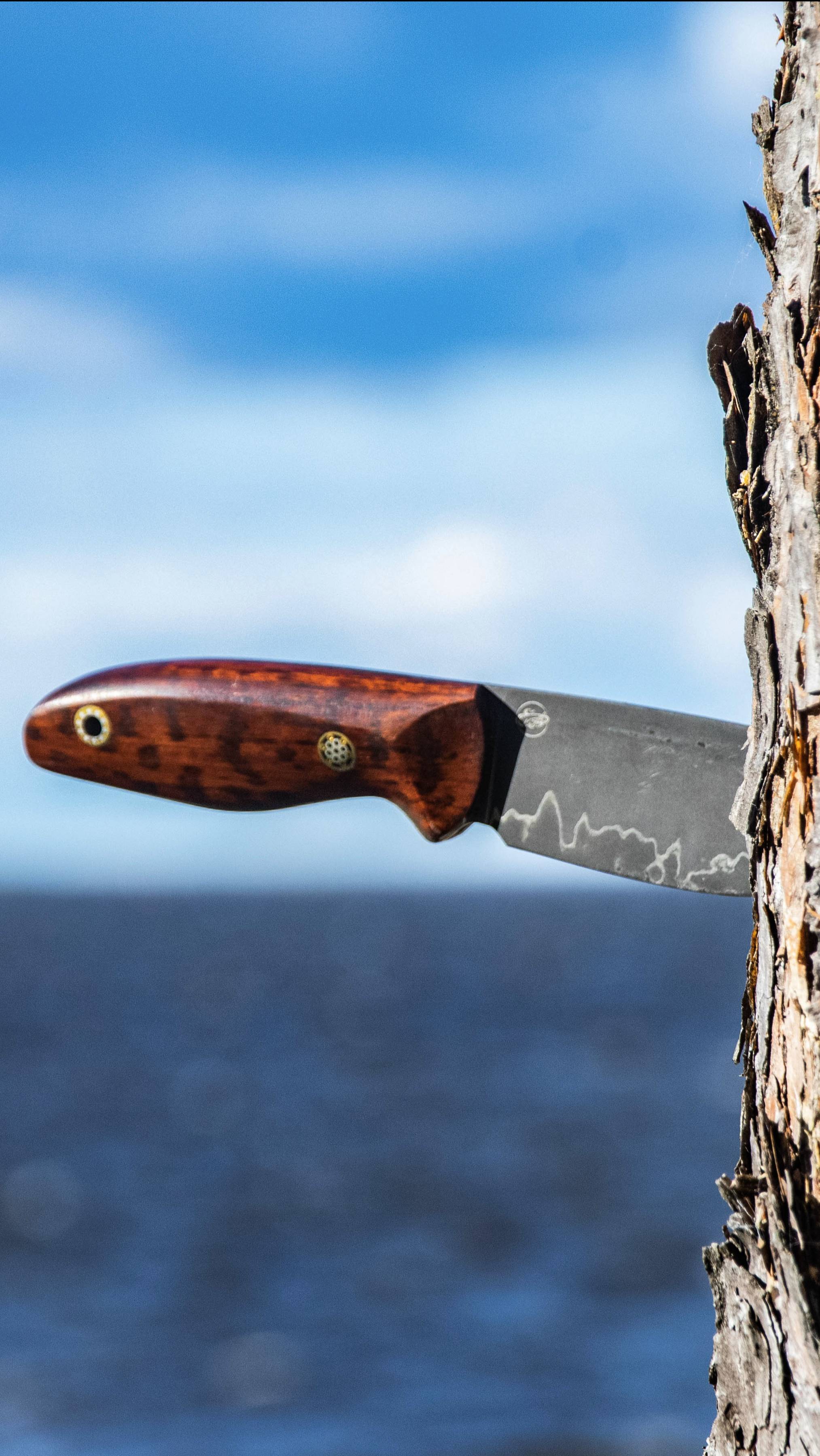 EDC - ламинат 40Х13/Х12МФ/40Х13 / Snakewood