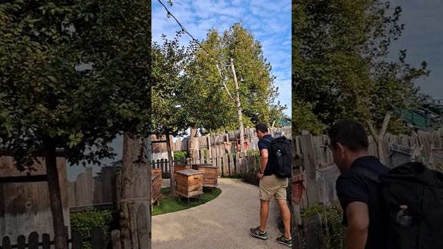 В гостях у Маши и медведья