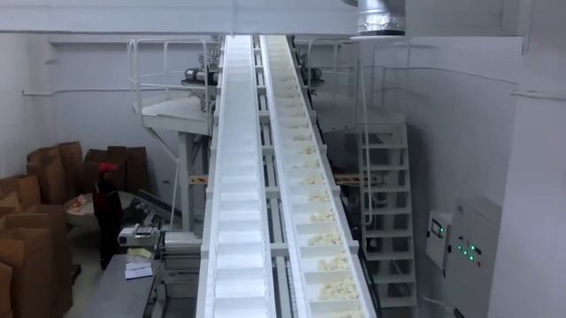 filled pasta, pelmeni production 1000kg per hour