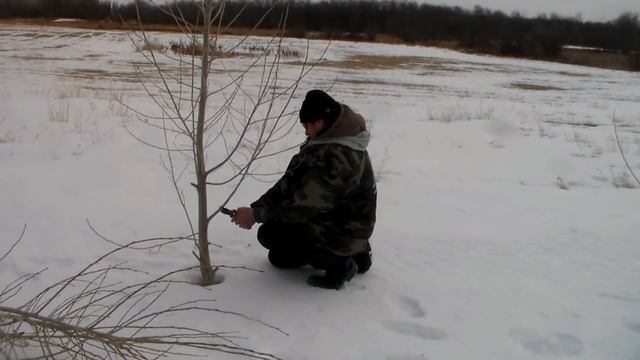 Подготовка к весне! Канада