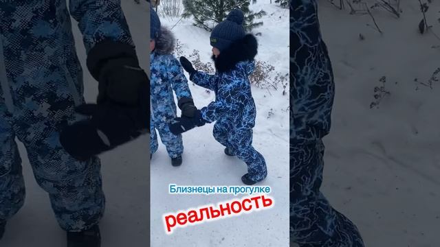 Двойняшки на прогулке- ожидание и реальность