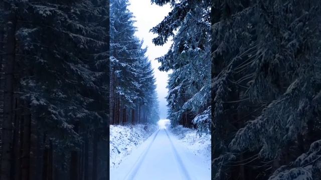 1000051352.mp4