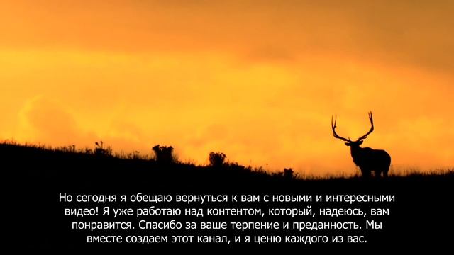 Всем привет!