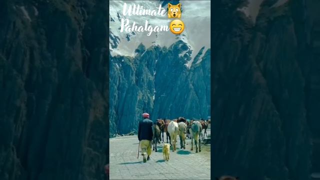 In love with Pahalgam kashmir❤|mukbang|veg pulao recipe|travelpublish#pahalgam#kashmir#travel#short